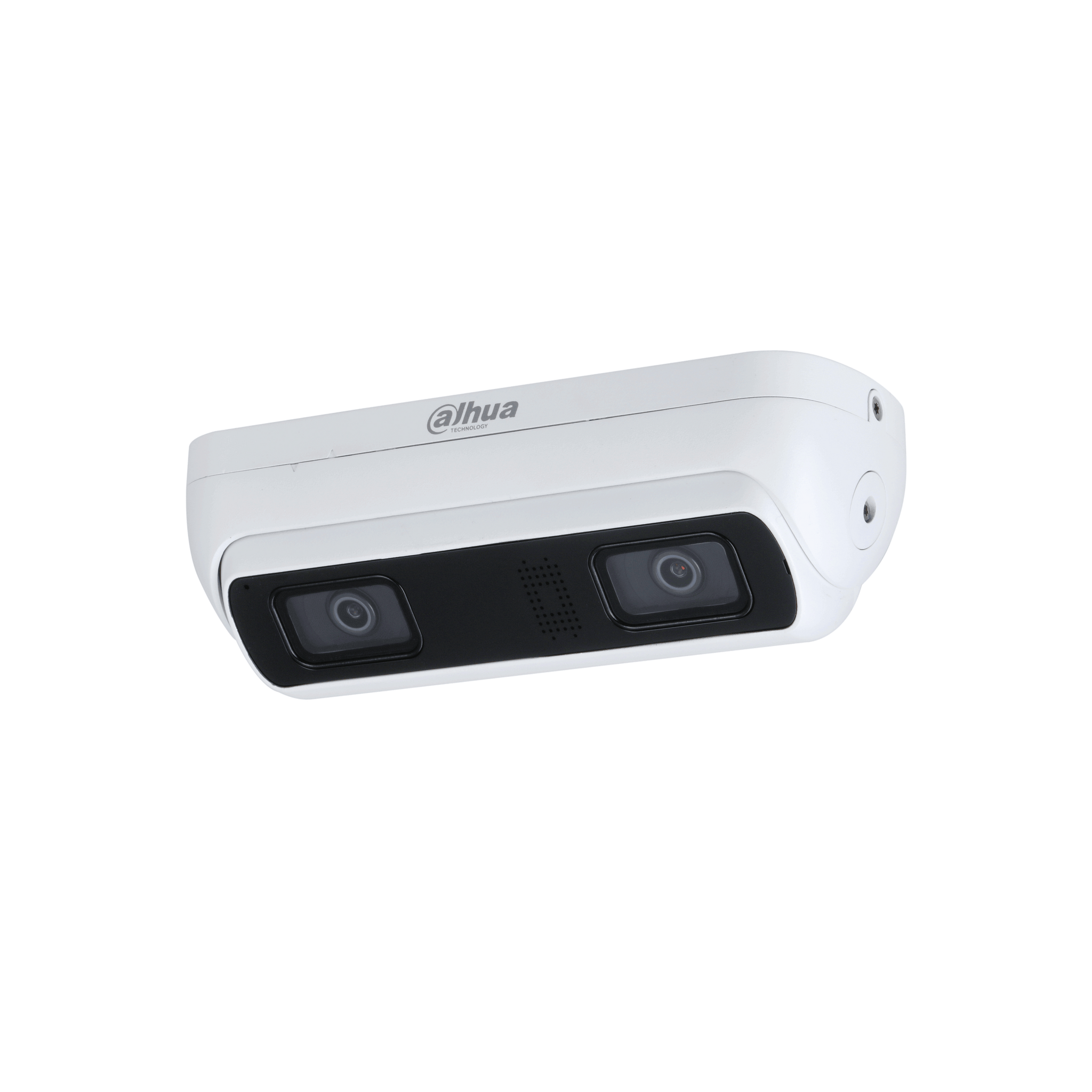 4MP WizMind Dual-Lens Network Camera.